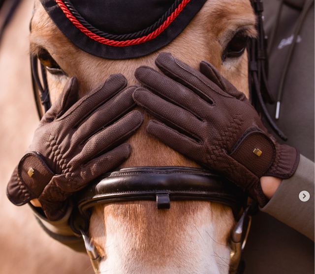 GUANTES
