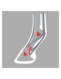 Herradura Aluminio Full Rolling - ACR 330